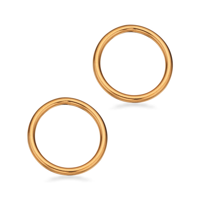 Earsticks 925 goldplated