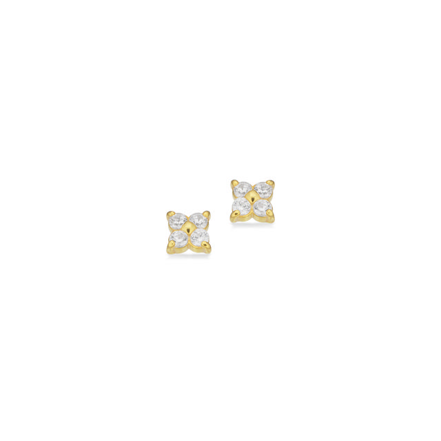 Earsticks zir. 925 goldplated