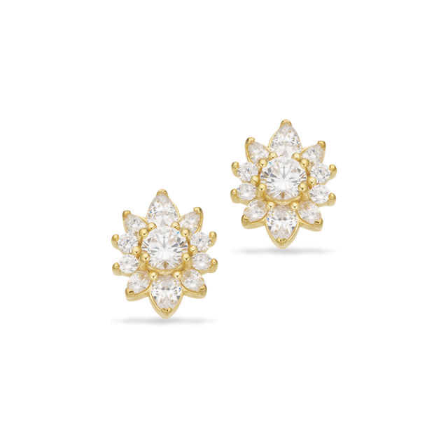 Earsticks zir. 925 goldplated