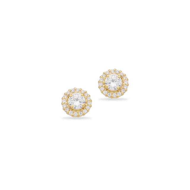 Earsticks zir. 925 goldplated